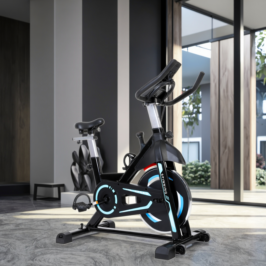 2025 Luckystar Exercise Spinni - огляд і ціна Fitness Home Gym Equipment