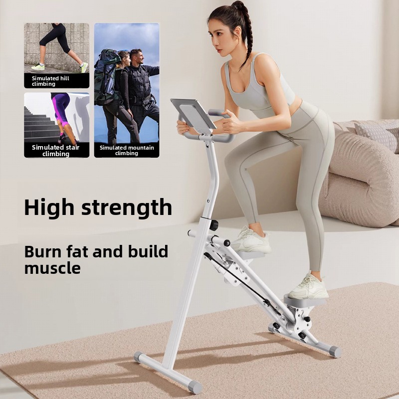 Home Gym Fitness Stair Climber - огляд і ціна Leg Home Gym Workout