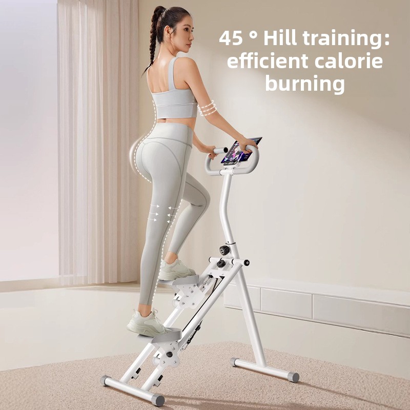 Home Gym Fitness Stair Climber - огляд і ціна Leg Home Gym Workout
